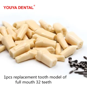 1 ком. стоматолошка модел зуб за пломбирования, имитира тренинг, променљив модел зуба, дечја стоматологија, испитних материјала